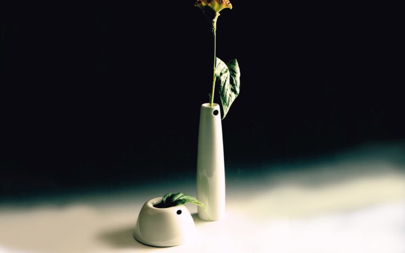 Niedrig est un vase en porcelaine blanche destiné à un bouquet rond ou pour des tulipes. Die Höhe est une soliflore.