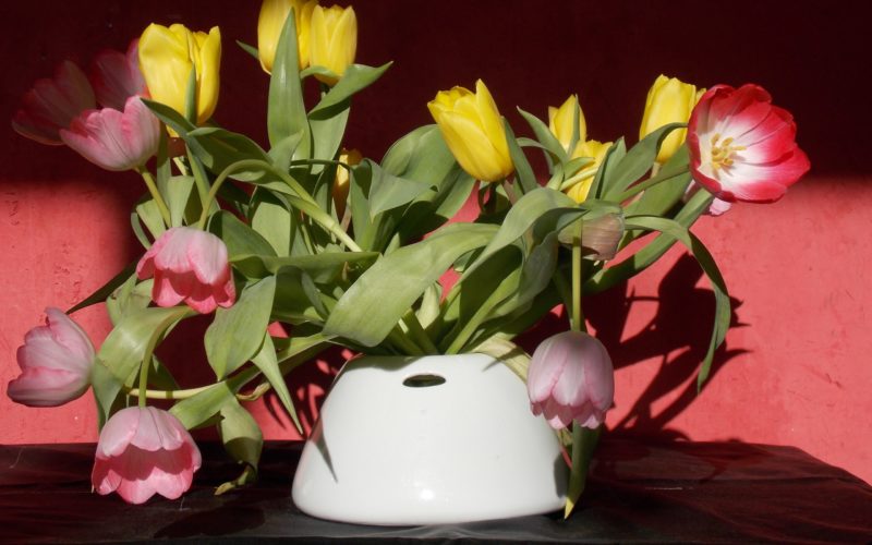 Niedrig est un vase en porcelaine blanche fabriqué en Bretagne de façon artisanale
